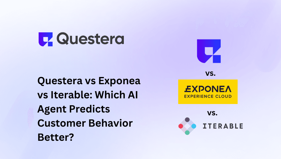 Questera vs Exponea vs Iterable: Best AI for Customer Prediction