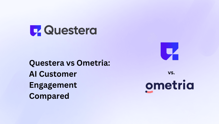Questera vs Ometria: AI Customer Engagement Compared