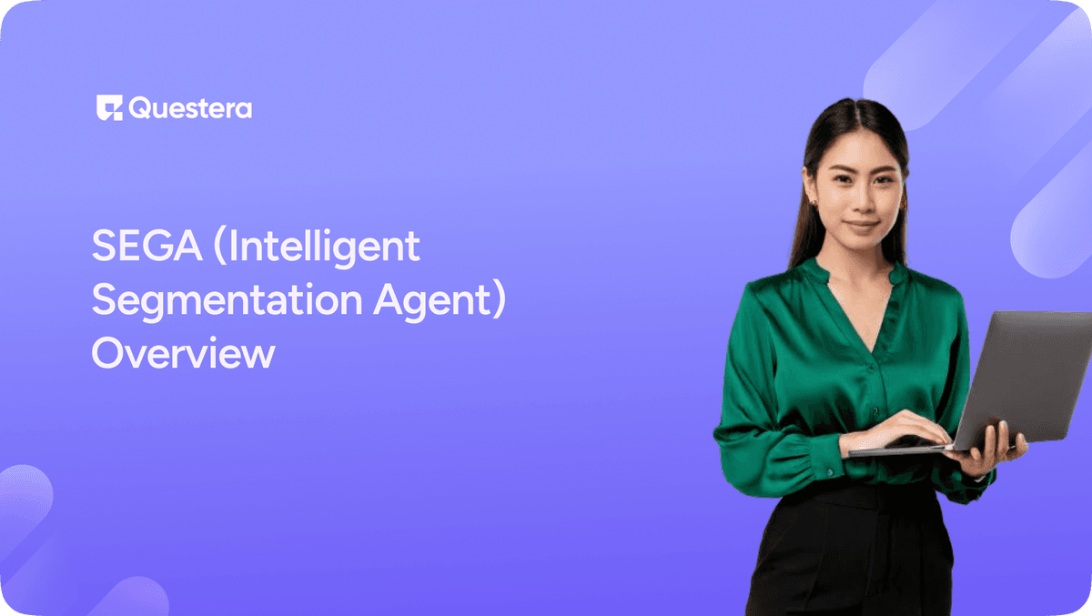 Sega (Intelligent Segmentation Agent) Overview