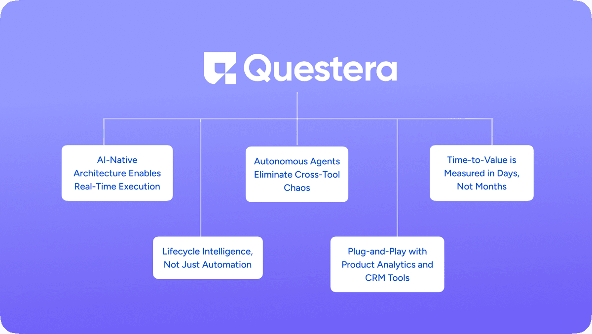 Questera vs Braze