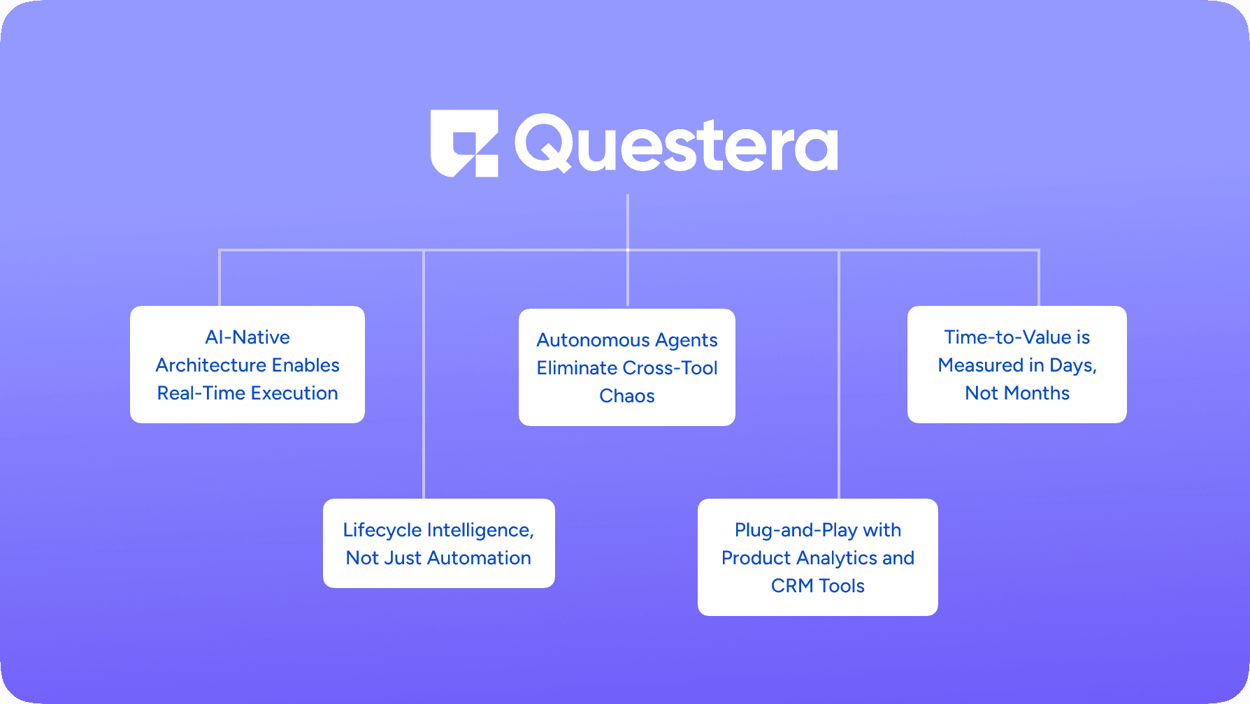 Questera vs Braze