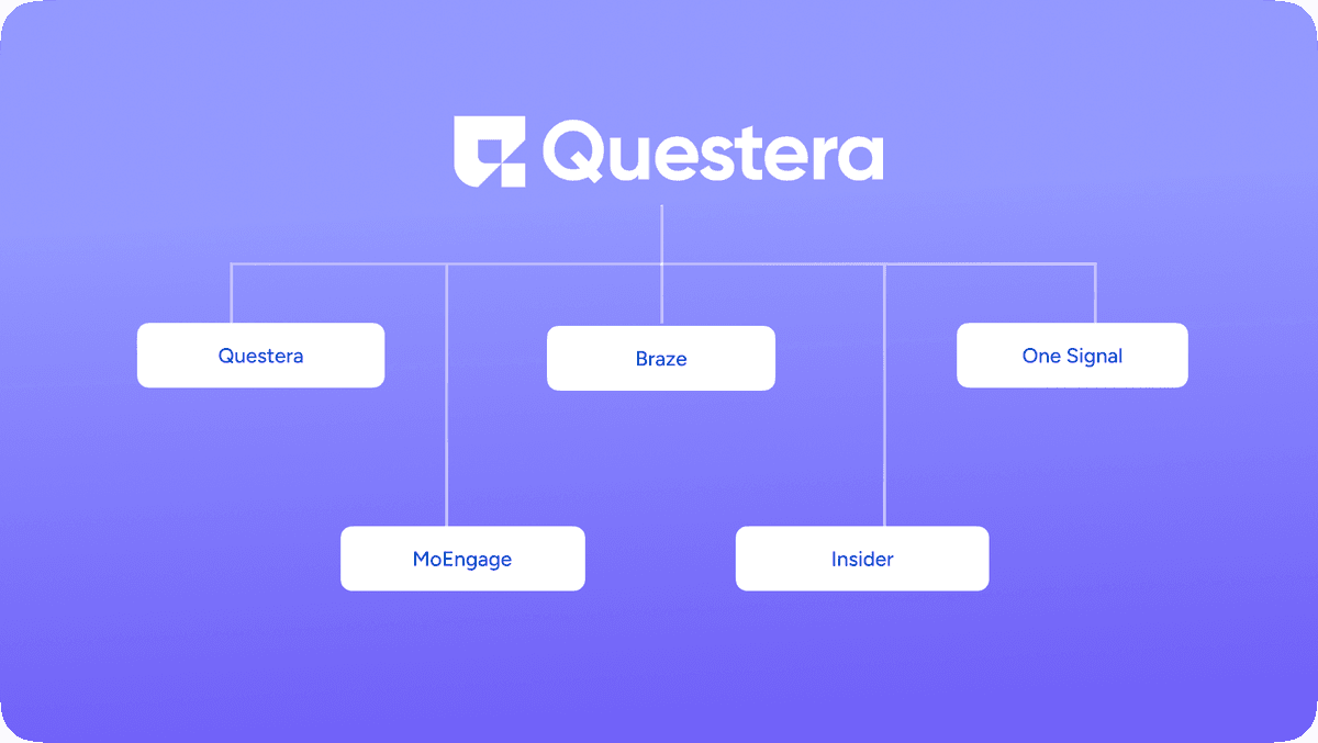 Top Omnichannel Marketing Platforms