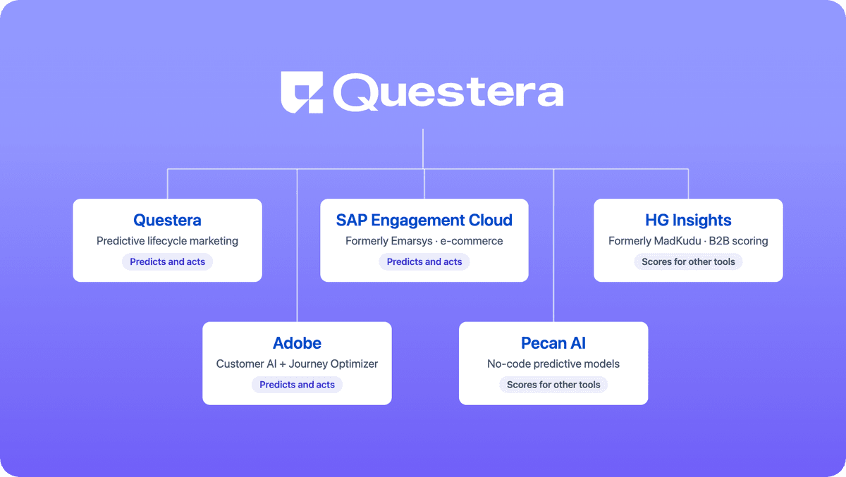 The five platforms compared below: Questera, Adobe (Customer AI and Journey Optimizer), SAP Engagement Cloud (formerly Emarsys), Pecan AI and HG Insights (formerly MadKudu). The first three predict and act on the prediction; Pecan AI and HG Insights produce scores for other tools.
